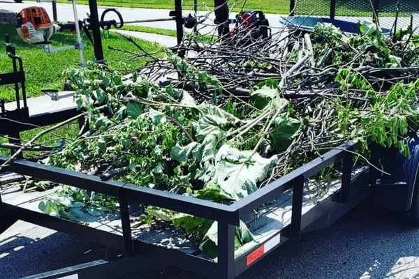 Landscape Cleanup Service