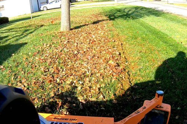 Leaf cleanup service near me